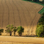 Sussex Landscape Photography. South Downs Freelance Photographer.