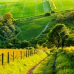 Sussex Landscape Photography. South Downs Freelance Photographer.