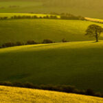 Sussex Landscape Photography. South Downs. Freelance Photographer.