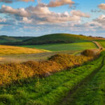 South Downs Photography. Professional Photographer in Sussex.