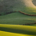 Landscape Photographer in Sussex. South Downs Photography.