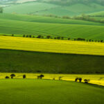 Freelance Photographer in Sussex. South Downs Landscape Photography.