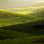South Downs Photography. Freelance Photographer in Brighton, Sussex.