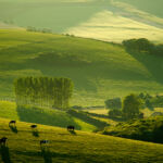 Landscape Photography South Downs, Sussex.