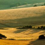 South Downs Photography. Freelance Photographer in Sussex.