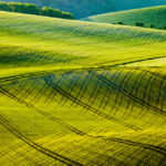 South Downs Landscape Photography.