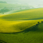 South Downs Photography.