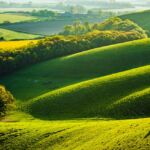 Freelance Landscape Photographer in Sussex. South Downs in Spring.