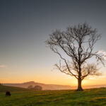South Downs sunset. Freelance Photographer in Sussex.