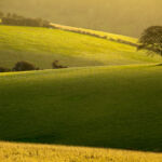 Sussex Landscape Photography. South Downs in Winter.