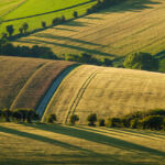 Landscape Photographer in Sussex. South Downs in Summer.