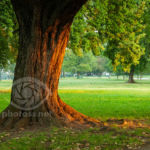 Krakow Park, Poland. Landscape Photography & Tuition Sussex UK.