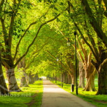 Jesus Green in Cambridge - Slawek Staszczuk Photography