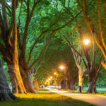 Jesus Green in Cambridge - Slawek Staszczuk Photography