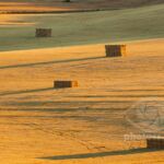 Salisbury Plain seen from Old Sarum