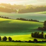 Misty September morning on the South Downs near Brighton. South Downs near Brighton. Slawek Staszczuk Photography.