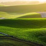 Autumn sunrise on the South Downs in West Sussex. Slawek Staszczuk Photography.