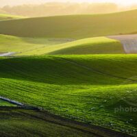 Autumn sunrise on the South Downs in West Sussex. Slawek Staszczuk Photography.