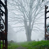 Southwick churchyard gates in fog.