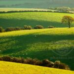 Autumn on the South Downs