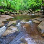 Rapids on West Beck near Goathland.