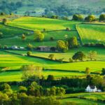 Spring evening on the Yorkshire Moors.