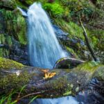 Holme Force waterfall, Lake District. Slawek Staszczuk Photography.