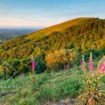Sunrise on the Malvern Hills, Worcestershire.