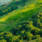 The slopes of Worcestershire Beacon in the Malvern Hills.