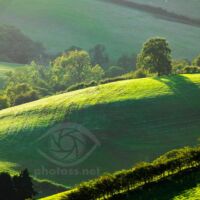 Shropshire Hills autumn. Slawek Staszczuk Photography.