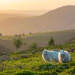 Sunrise at Carding Mill Valley in Shropshire.