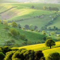 Spring morning on the Shropshire Hills near Stiperstones.