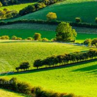 Late summer on the South Downs - by Slawek Staszczuk Photography.
