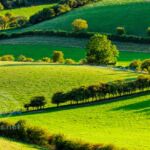 Late summer on the South Downs - by Slawek Staszczuk Photography.