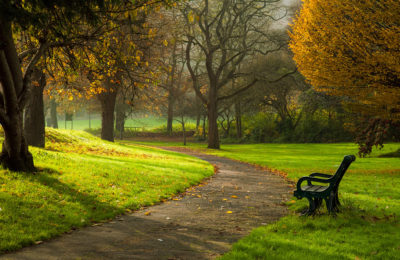 Autumn afternoon in Brighton. Clients Testimonials - Slawek Staszczuk Photography. Freelance Photographer in Sussex.